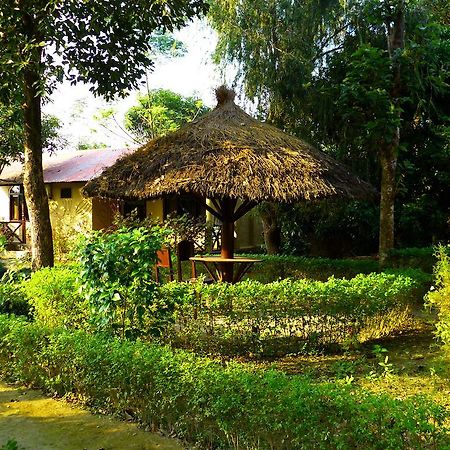 Nature Safari Resort Bardiya Esterno foto