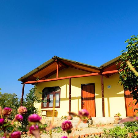 Nature Safari Resort Bardiya Esterno foto