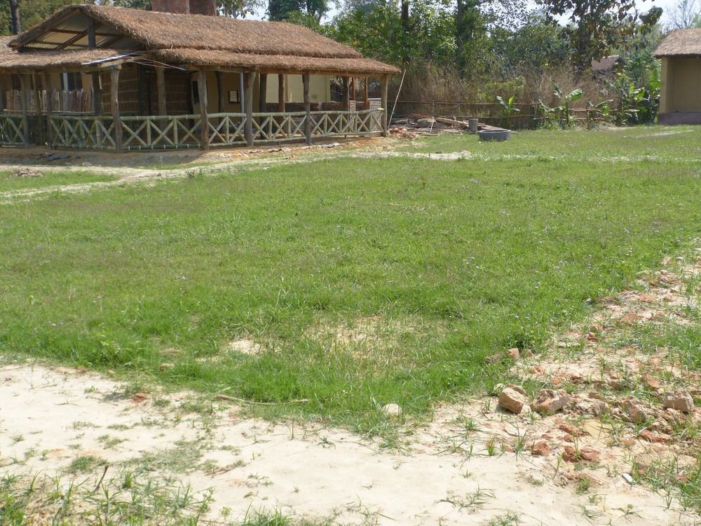 Nature Safari Resort Bardiya Esterno foto