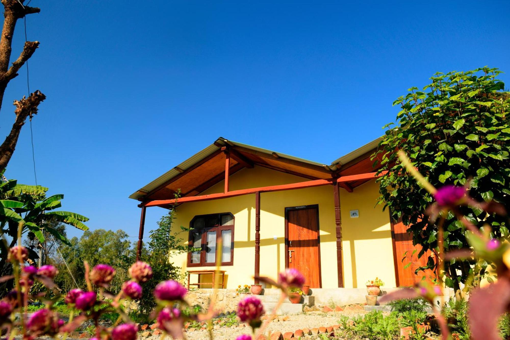 Nature Safari Resort Bardiya Esterno foto